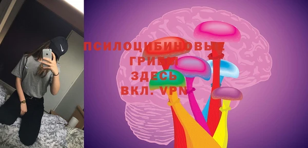 дмт Бронницы